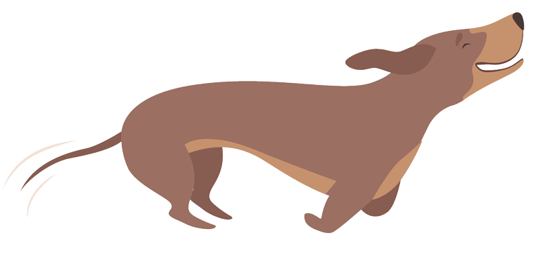 running-dachshund-graphic