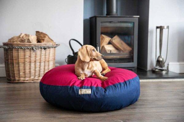 Barka Parka Dog Bed - Burgundy and navy